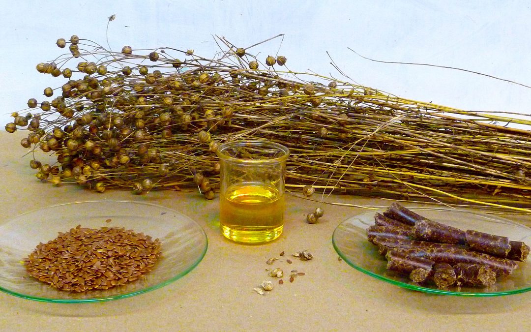 Glossaire | Le liant